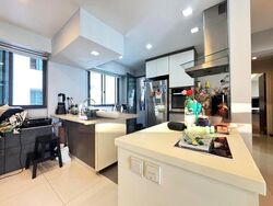 Blk 1 The Pinnacle@Duxton (Bukit Merah), HDB 5 Rooms #502802811